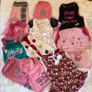 Adorable Doggie Outfits